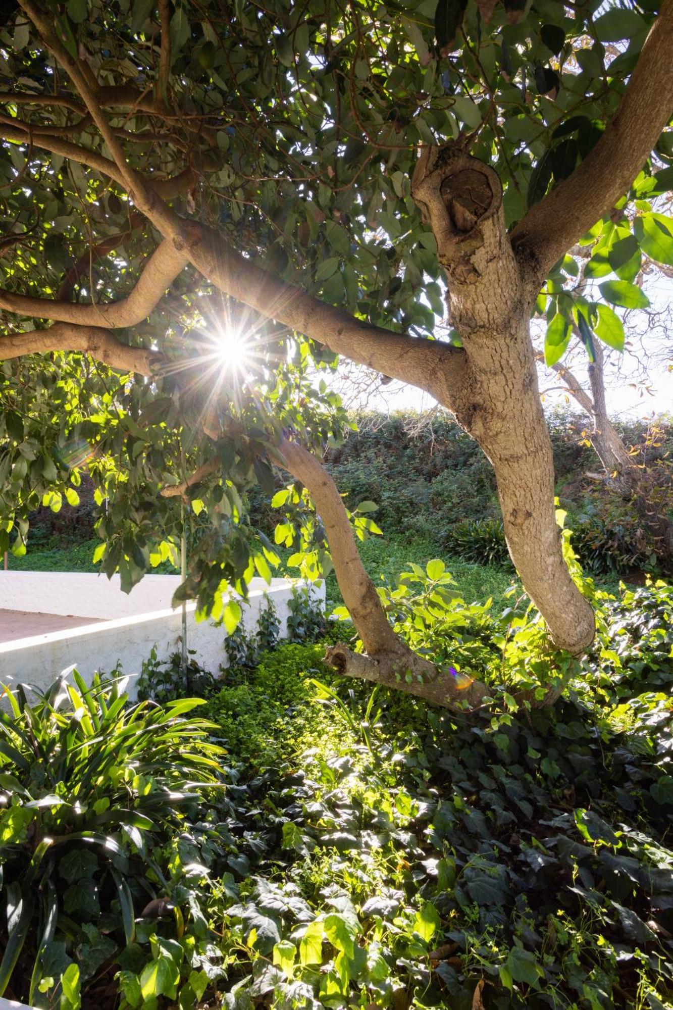 Lightbooking Casa De Campo Ortigal Tenerife La Esperanza  Exterior foto